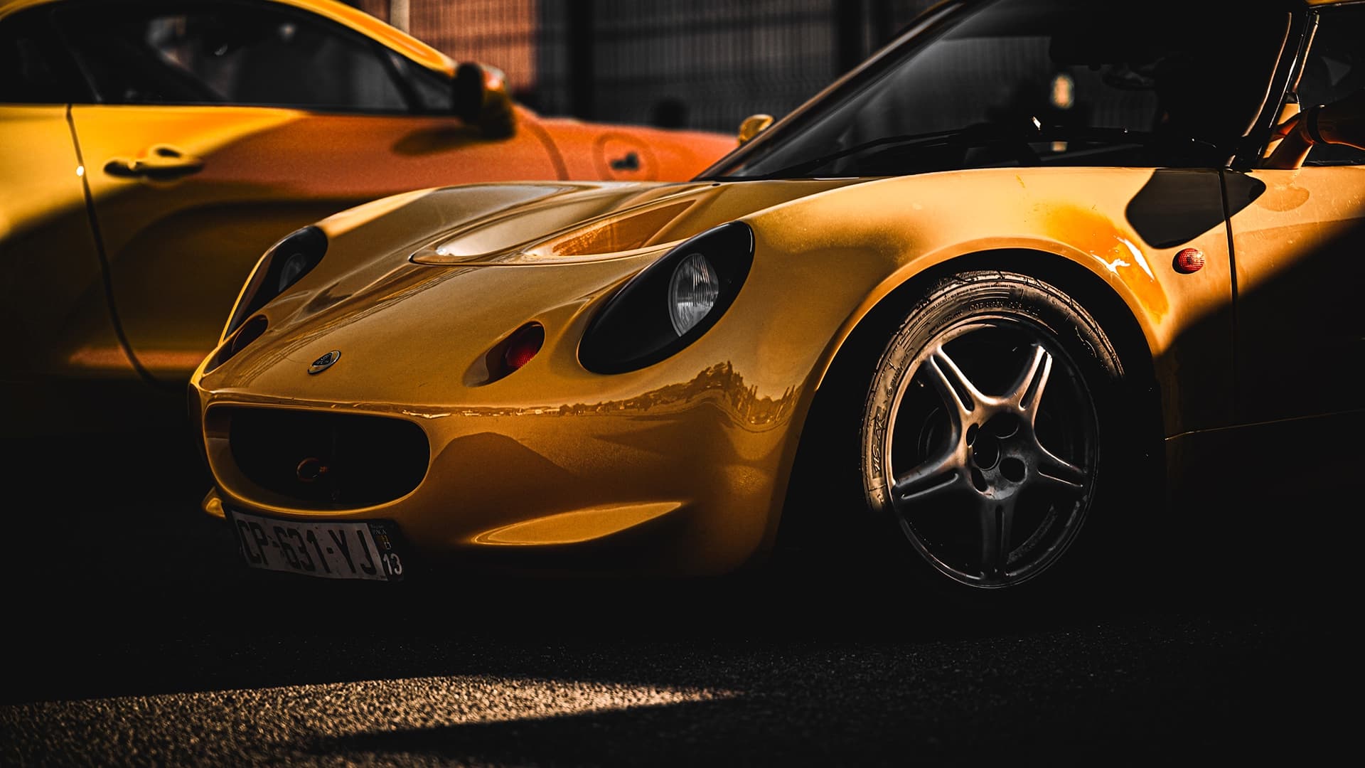lotus